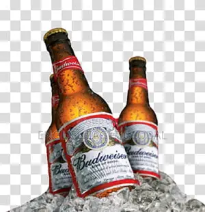 Cheap Price For Budweiser Bottle Drink