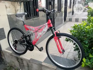 Activ Sport Bicycle