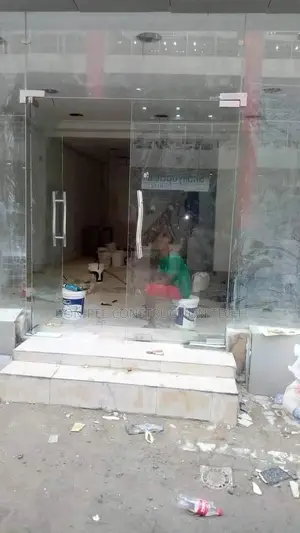 Frameless Glass Door