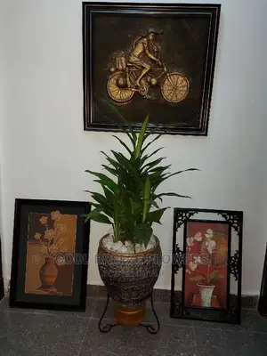 Indoor Poted Plants Air Purification