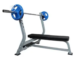 Commercial Olympic Weight Lifting Bench (Ns)