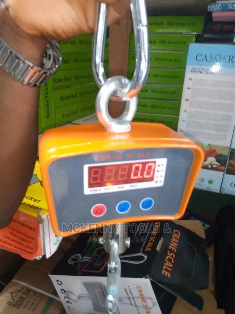 500kg Crane Scale