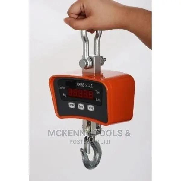 500kg Crane Scale