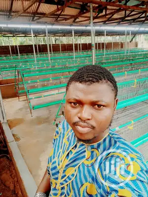 Battery Cage