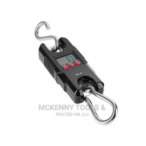 Heavy Duty Electronic Digital Hanging Scale Crane - 300kg