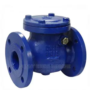 Genuine and Indestructible Non Return Valve,Checkvalve