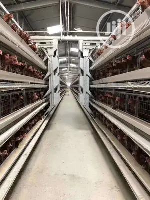 China Factory H Type Automatic Battery Cage Best Quality Cag