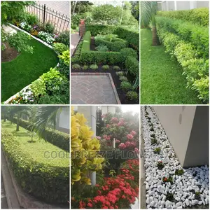 Beatuful Flowers And Pots For Indoor & Outdoor Plants