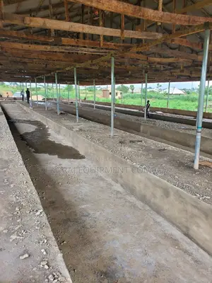 We Build Standard 5,000 Birds Pen House With Cage for 13m