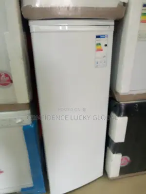 Essentials Single Door Standing Fridge.