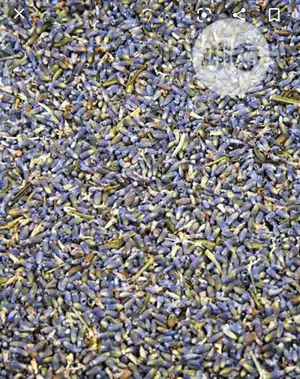 Lavander Buds Dried Anti Inflammatory Anti Bacteria 250g
