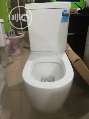 Big Size England W/C With the Wash Hand Basin