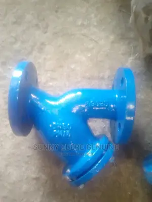 Authentic and Genuine Steel Iron Strainer Valve 2"
