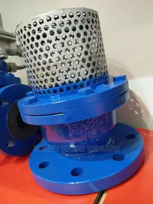 Genuine and Authentic Flanged Foot Valve 100% Standardized