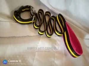 Leash and Collar for Puppy and Medium Sized Dogs