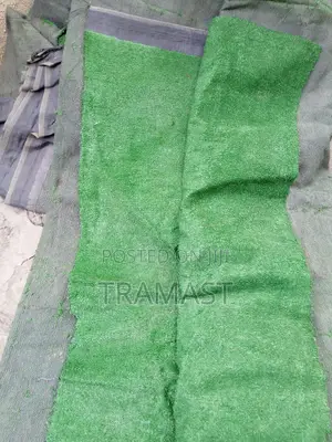 Artificial Grass for Rent in Nigeria