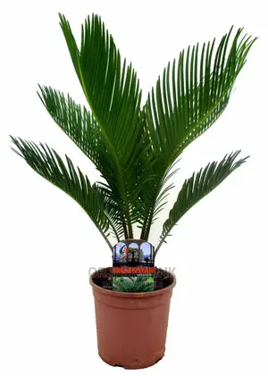 Artificial Palm Flower Plant