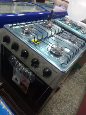 Scanfrost Burner and Oven