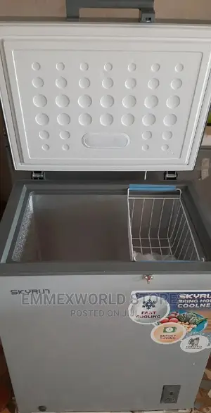 Skyrun Chest Freezer BD-145A