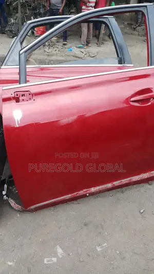 Neat Belgium Door for Lexus RX350 2018 Model