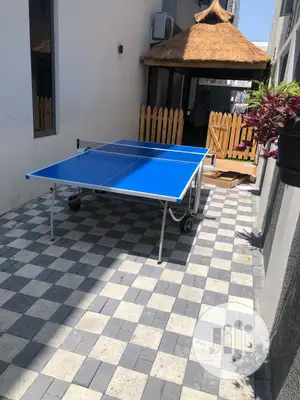 Outdoor Table Tennis Board