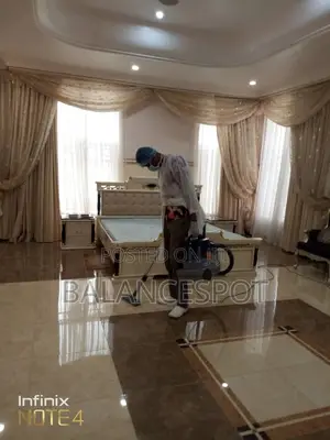 Professional Cleaning Service