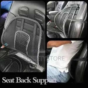 Back Massage Lumbar Support Mesh