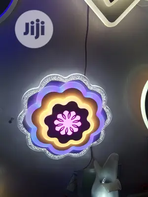 3 In 1 Led Wall Bracket