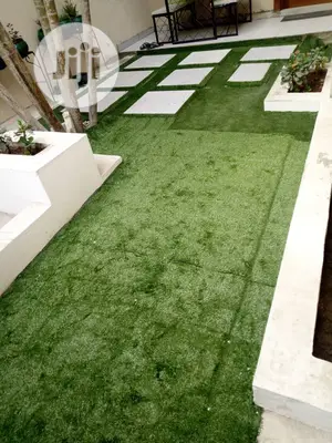 Carpet Grass / Artificial Grass