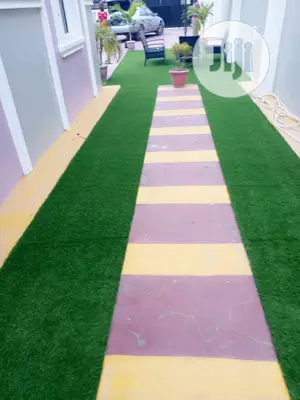 Carpet Grass / Synthetic Grass/ Grass