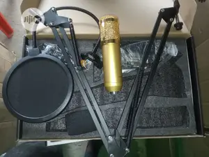 Professional Studio Mic With Stand