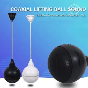 Ceiling Pendant Drop Ball Speaker