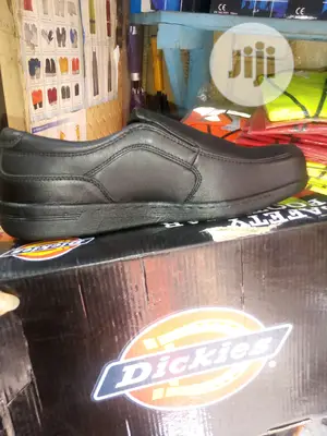 Dickies Safety .