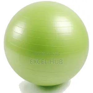 65cm Gym Ball Xz
