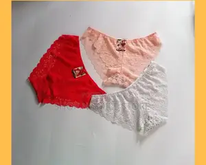 Sexy Net Panties