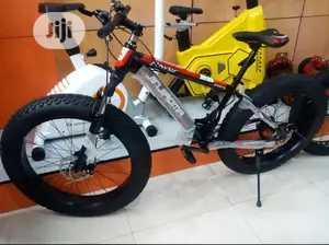 Fat Tyre Bicycle