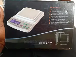 Electronic Compact Scale