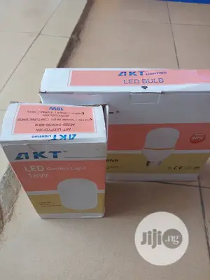 Original A.K.T Outside Light and LED Bulbs