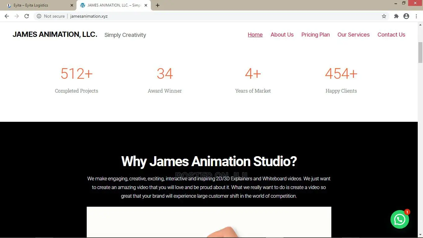 Get a Professional Wordpress Developer 4 Your Business Today