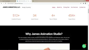 Get a Professional Wordpress Developer 4 Your Business Today