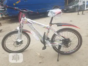 22" Bike Bicycle 15 Years and Above