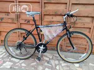 Sport Bicycle Apollo