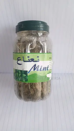Mint Herbal Antibiotics Peppermint