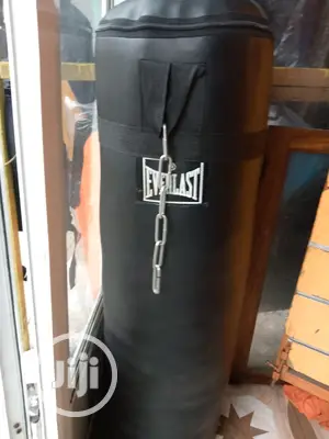 Everlast Punching Bag