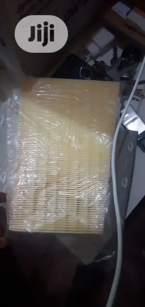Air Filter Nissan Qashqui 2013