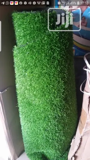 Artificial Grass
