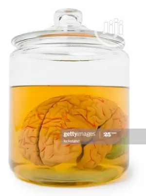Specimen Jar For Schools Laboratory