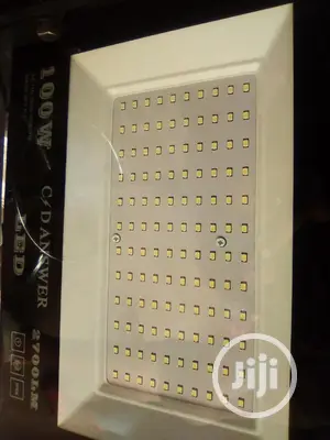 Cdivine 100w SMD Flood Light LED
