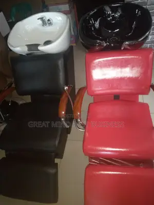 Saloon Chair With Washing Bazen