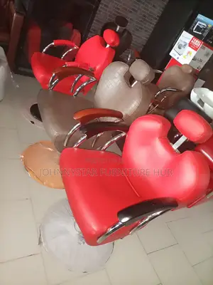 Italian Unique Executive Salon Chairs